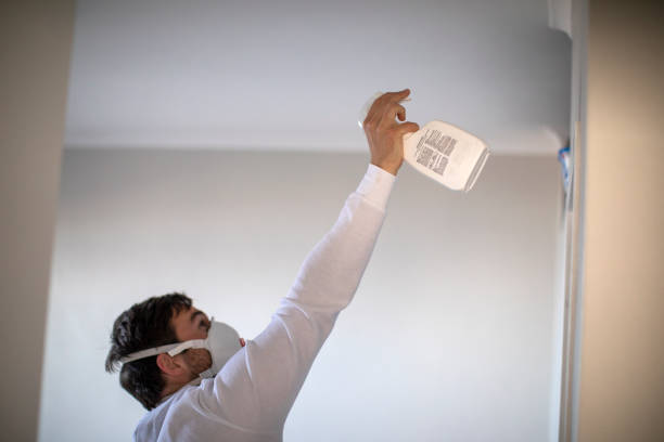 Best Mold Testing  in Evansdale, IA