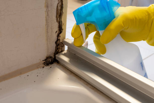 Best Mold Testing  in Evansdale, IA